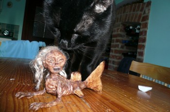 Ace and the mermaid.